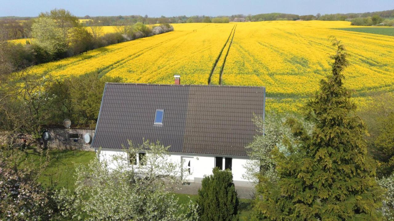 RehnaKleines Haus Am Feld别墅 外观 照片